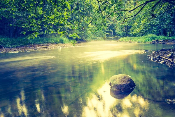 Foto vintage da bela floresta de verão com rio selvagem . — Fotografia de Stock