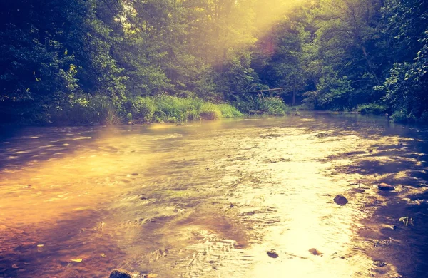 Foto vintage da bela floresta de verão com rio selvagem . — Fotografia de Stock