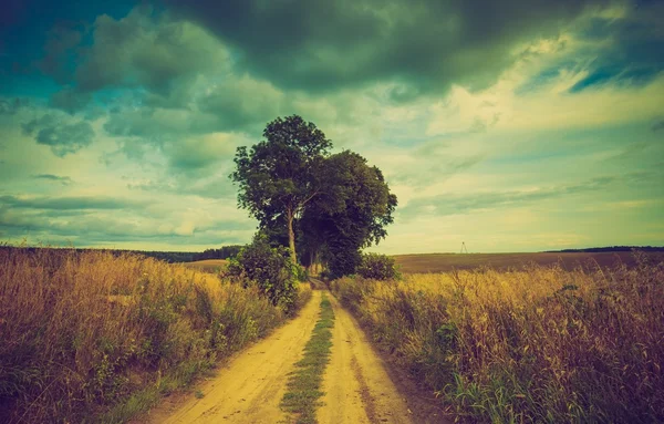 Vintage photo of polish field at autumn. — Stock Photo, Image