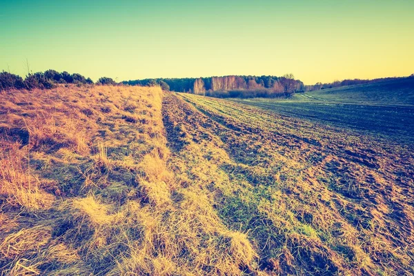 Винтажное фото польского поля осенью . — стоковое фото