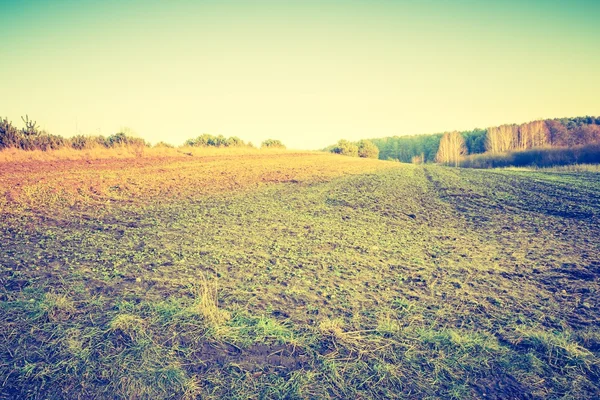 Vintage photo of polish field at autumn. — Stock Photo, Image