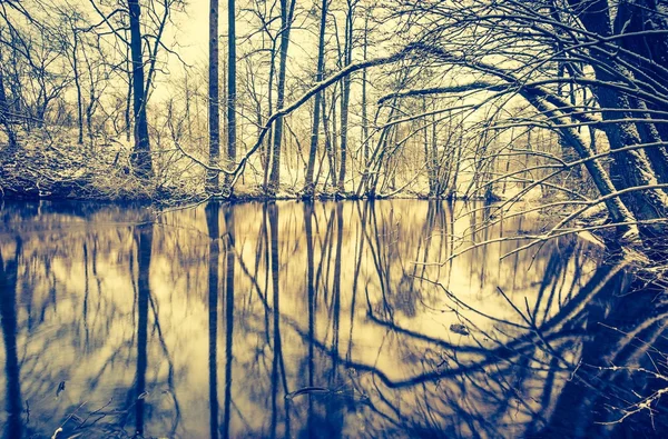 Foto vintage del río en el bosque en invierno —  Fotos de Stock