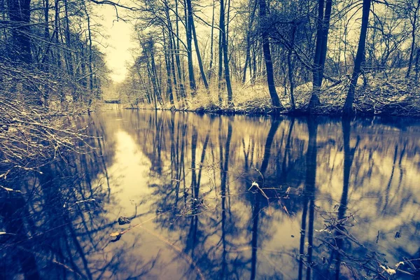 Foto vintage del río en el bosque en invierno —  Fotos de Stock