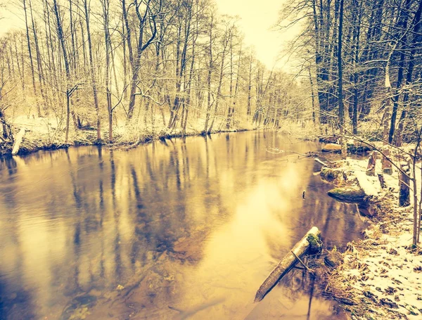 Foto vintage del río en el bosque en invierno — Foto de Stock