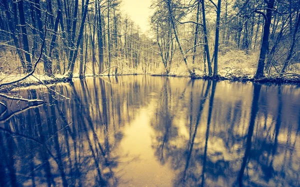 Foto vintage del río en el bosque en invierno —  Fotos de Stock