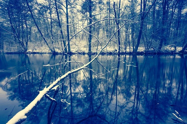 Foto vintage del río en el bosque en invierno —  Fotos de Stock