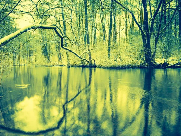 Foto vintage do rio na floresta no inverno — Fotografia de Stock
