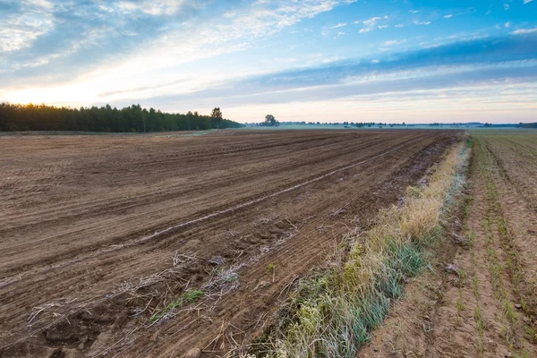 Herfst geploegd veld landschap — Stockfoto