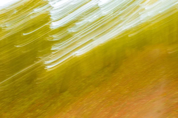 Abstração da floresta no outono — Fotografia de Stock