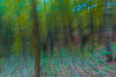 Sonbahar Orman rüya gibi soyutlama