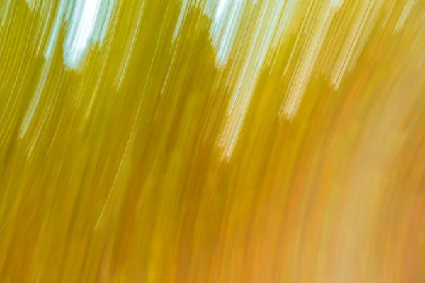 Abstractie van bos in de herfst — Stockfoto