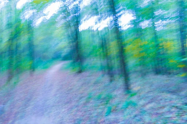 Drömmande abstraktion höstlig skog — Stockfoto