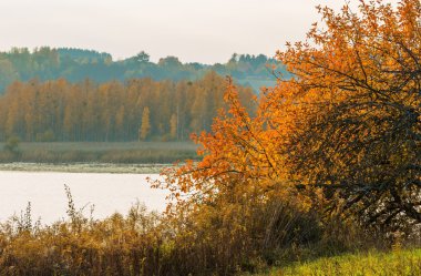 Sonbahar manzara ile göl ve tesisleri ile sonbahar renkleri