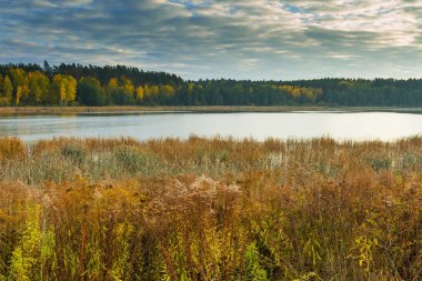 Sonbahar manzara ile göl ve tesisleri ile sonbahar renkleri