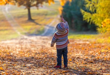 Küçük çocuk sonbahar manzara içinde yürüyüş