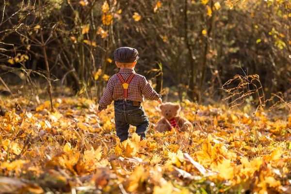 Niño jugando en el bosque otoñal . — Foto de Stock