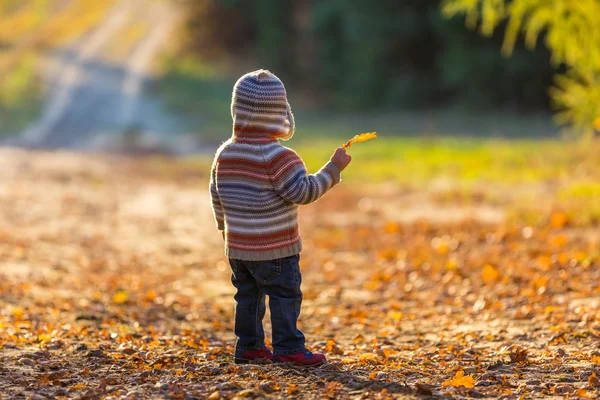 Menino caminhando na paisagem outonal — Fotografia de Stock