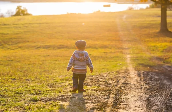 Niño pequeño caminando en el paisaje otoñal — Foto de Stock