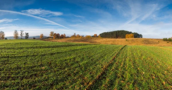 Zielone pole ranek jesienny. Krajobraz Panormic — Zdjęcie stockowe