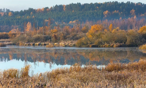 Rano jezioro o jesieni — Zdjęcie stockowe