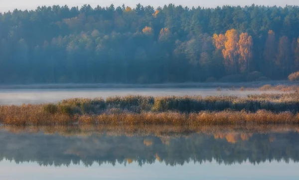 Mattina lago in autunno — Foto Stock