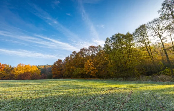 Campo verde na manhã de outono — Fotografia de Stock