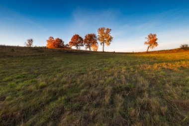 Güzel sonbahar günbatımı manzara