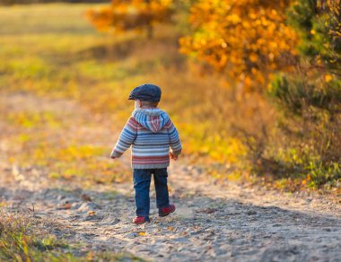Yürüyüş ve sonbahar orman açık oynarken küçük çocuk