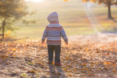 Yürüyüş ve sonbahar orman açık oynarken küçük çocuk