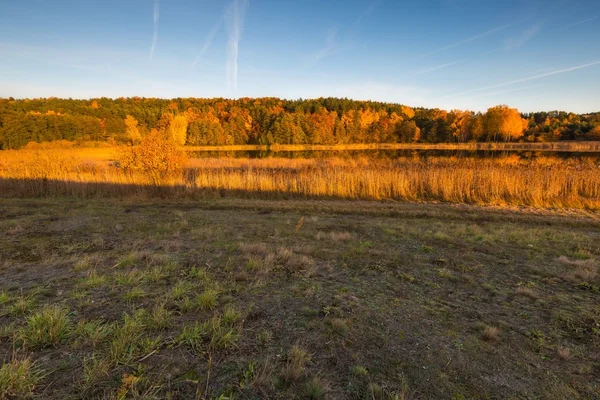 Hermoso paisaje otoñal al atardecer — Foto de Stock