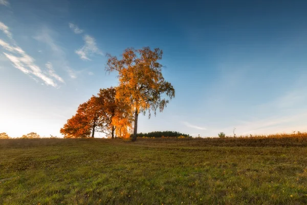 Beau paysage de coucher de soleil automnal — Photo