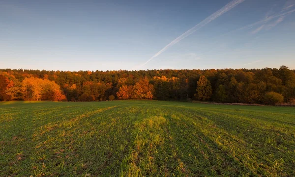 Bela paisagem do pôr do sol outonal — Fotografia de Stock