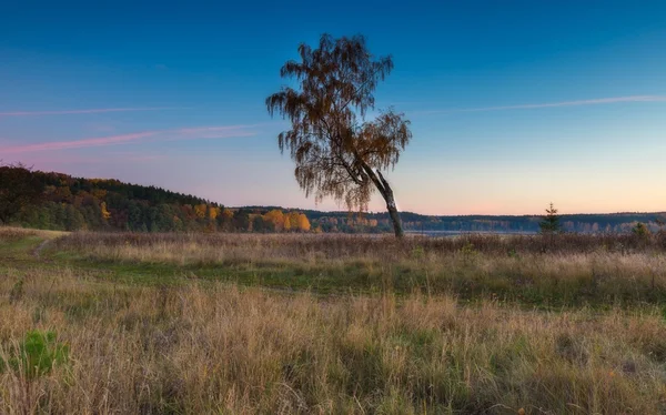 Hermoso paisaje otoñal al atardecer —  Fotos de Stock