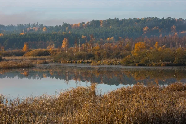 Rano jezioro w mroźny jesień — Zdjęcie stockowe
