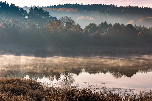 Rano jezioro w mroźny jesień — Zdjęcie stockowe
