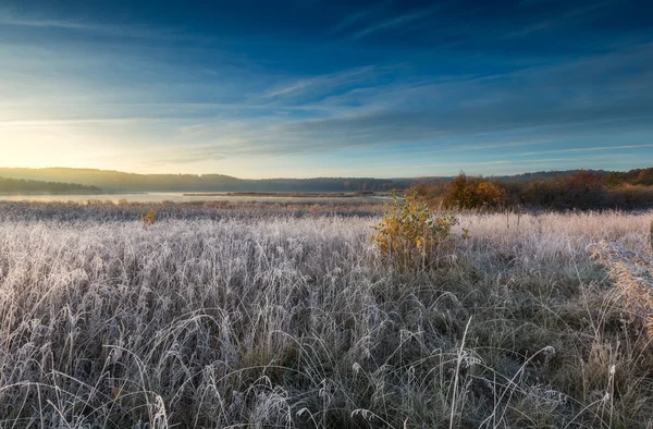 Autumnal frosty morning on meadow — Stock Photo, Image