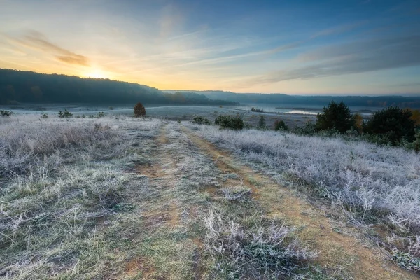 Herfst frosty ochtend op weide — Stockfoto