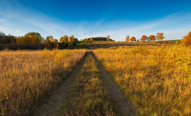 Güzel sonbahar manzara otlak, ağaçlar ve yol
