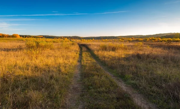 Bela paisagem outonal com pastagens, árvores e estradas — Fotografia de Stock