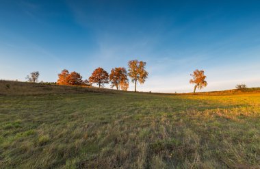 Sonbahar yatay, gün batımında kırsal