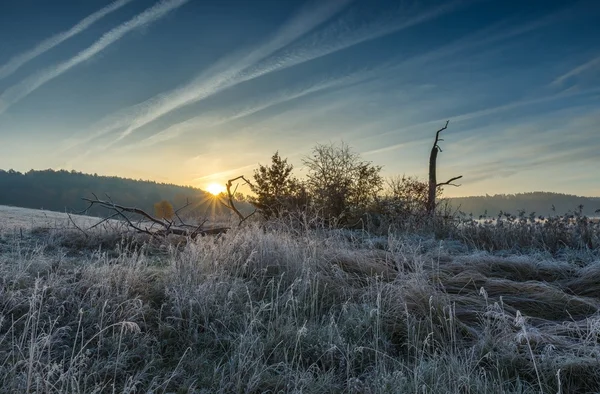 Autumnal cold morning on meadow with hoarfrost — Stock Photo, Image