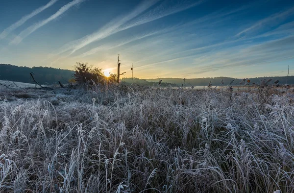 Mañana fría otoñal en el prado con escarcha —  Fotos de Stock