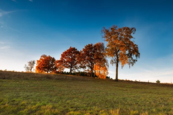 Paisagem outonal com campo ao pôr do sol — Fotografia de Stock