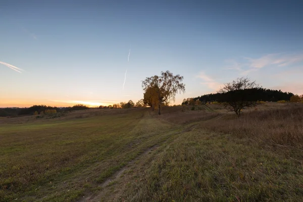 Paisagem outonal com campo ao pôr do sol — Fotografia de Stock