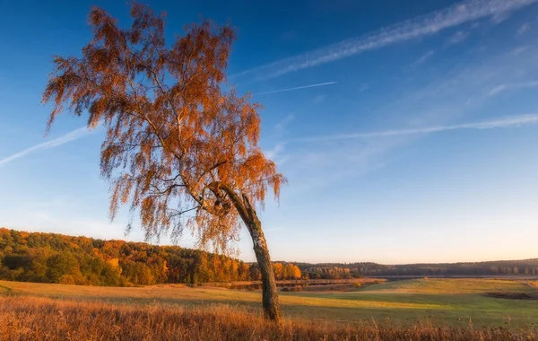Herfst landschap met platteland bij zonsondergang — Stockfoto