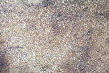 Renkli deri dokusuna kadar kapatın