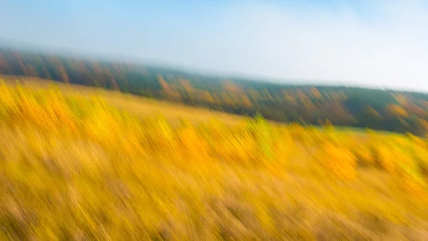 Blurry abstraction of autumnal grassland — Stock Photo, Image