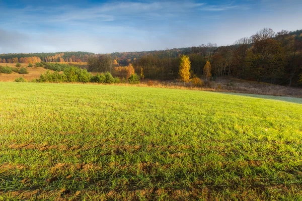 Campo verde al mattino autunnale — Foto Stock