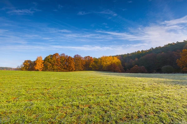 Groene veld op herfst ochtend — Stockfoto