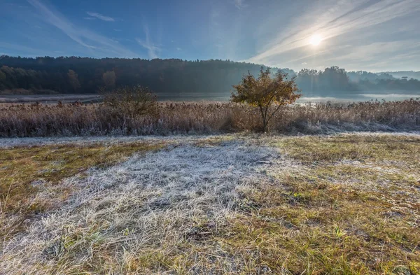 Autumnal cold morning on meadow — Stock Photo, Image